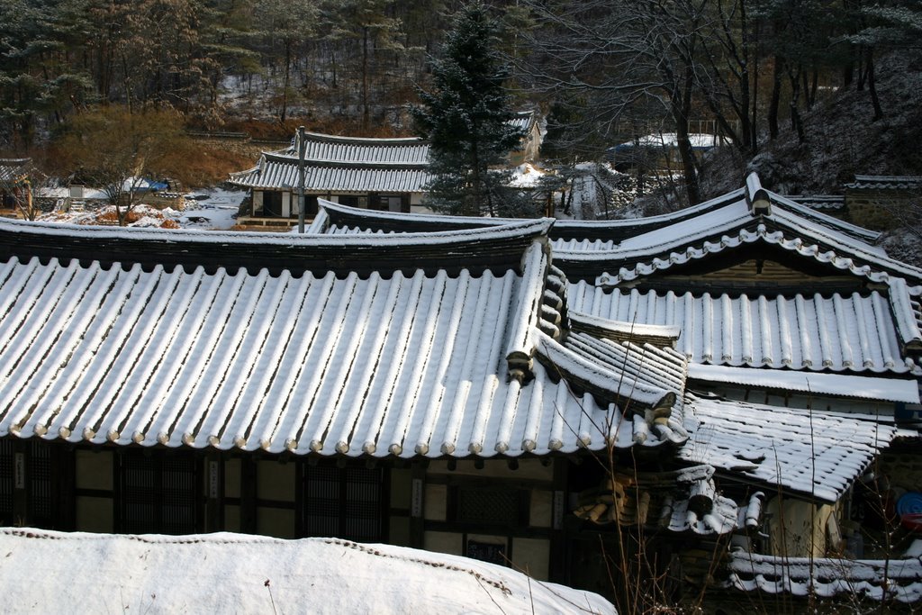 안동의 한옥 지붕